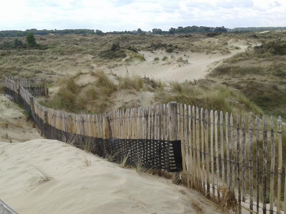 natuurreservaat De Westhoek De Panne La Tourelle De Panne