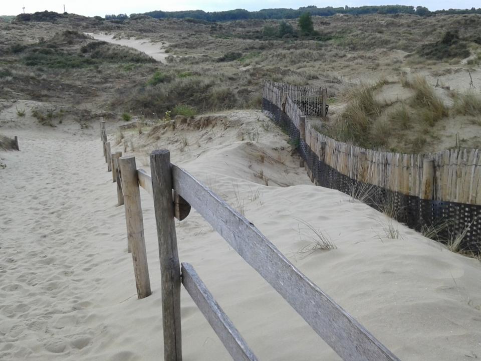 natuurreservaat De Westhoek De Panne La Tourelle De Panne