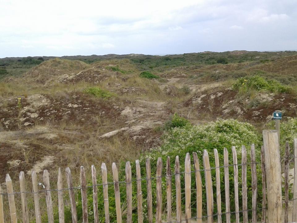 duin natuurreservaat De Westhoek De Panne La Tourelle De Panne