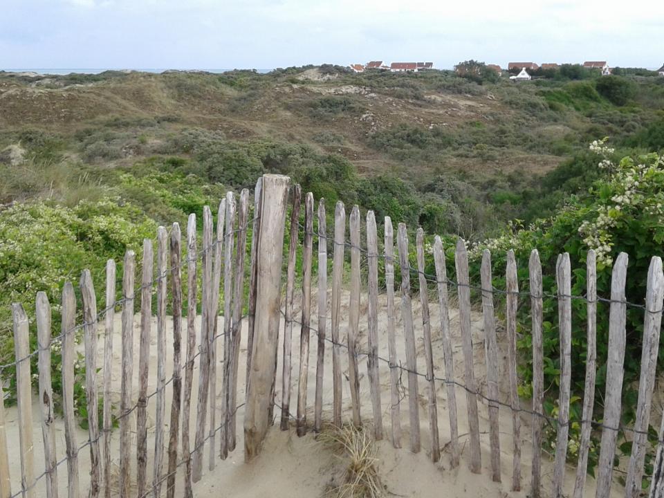 natuurreservaat De Panne met zicht op vissersdorp La Tourelle De Panne