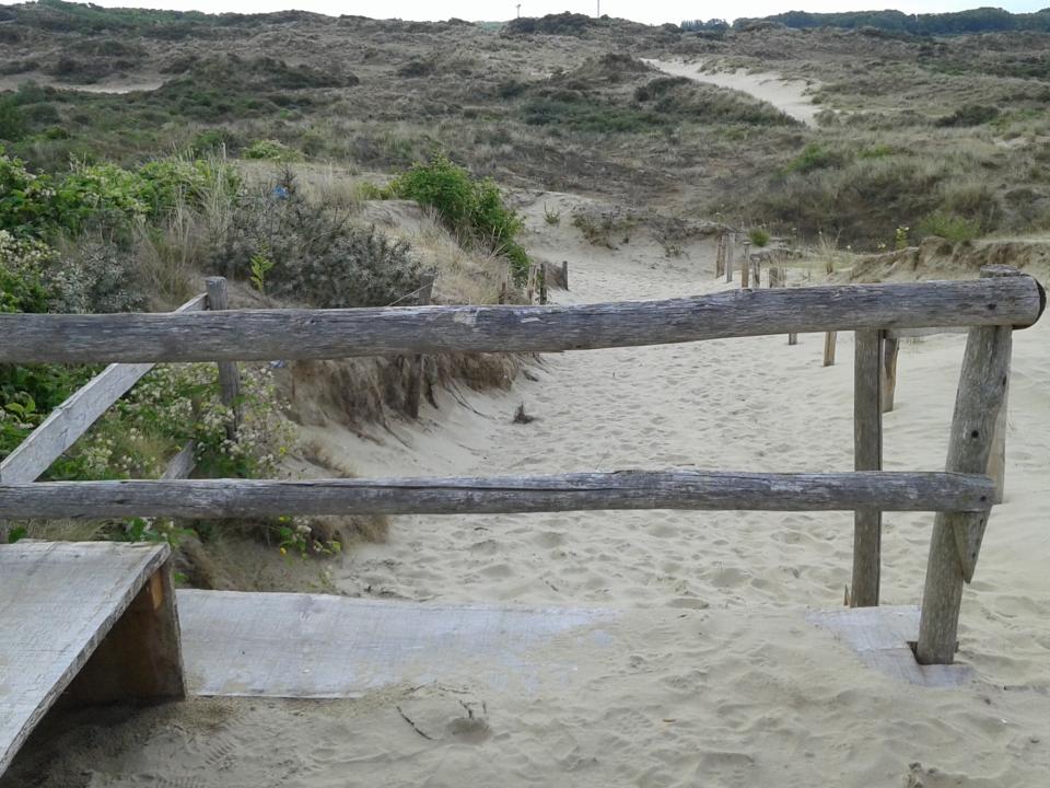 natuurreservaat De Westhoek De Panne La Tourelle De Panne
