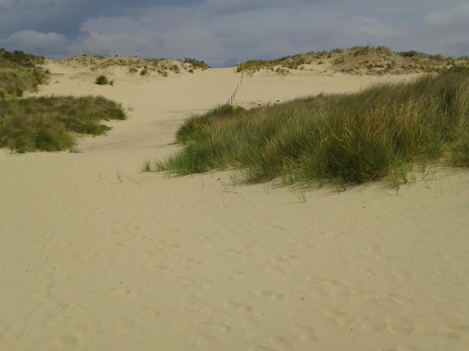 duinen natuurreservaat De Westhoek De Panne La Tourelle De Panne
