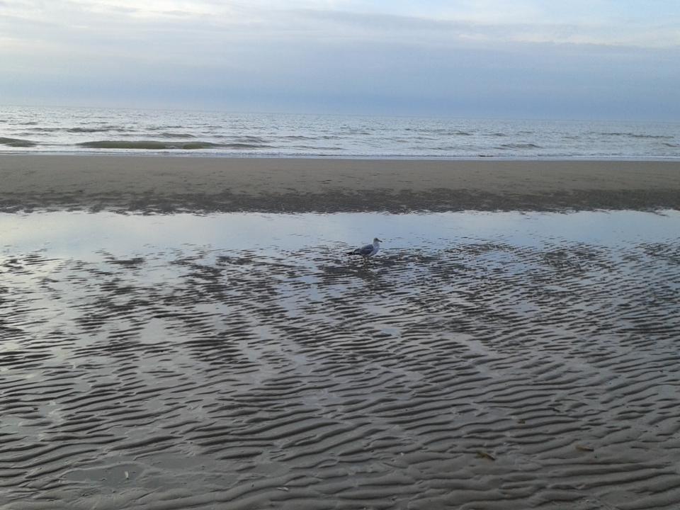 strand De Panne en zee La Tourelle De Panne